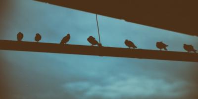 Нужна замена или ремонт труб? Мы знаем, как решить вашу проблему!