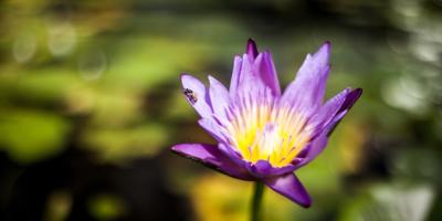 Нужна замена, ремонт или установка труб?